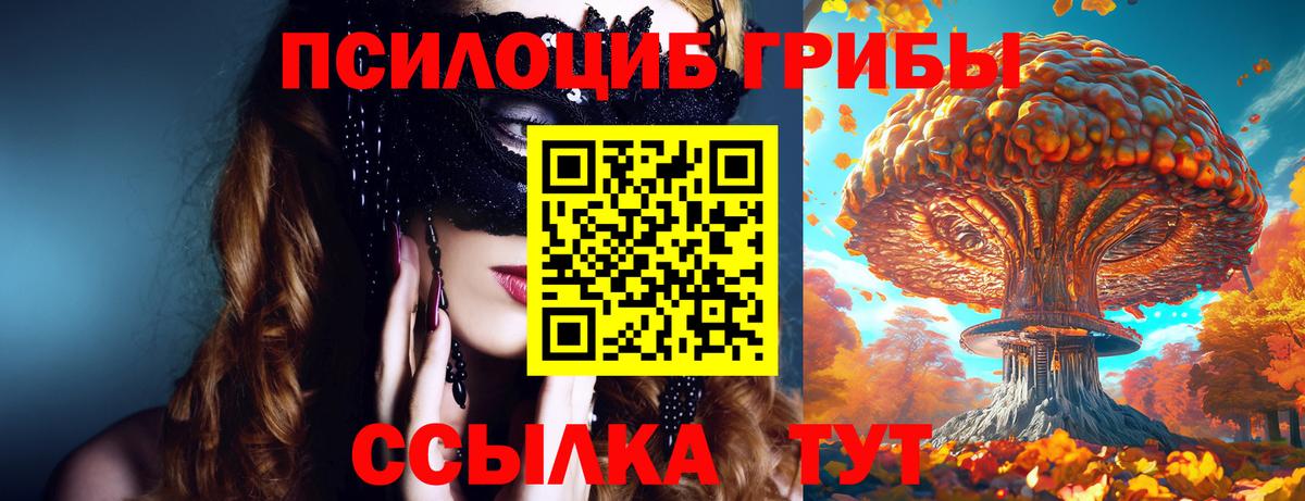 Сертолово  даркнет сайт  Вход с VPN  Галлюциногенные грибы GOLDEN TEACHER 